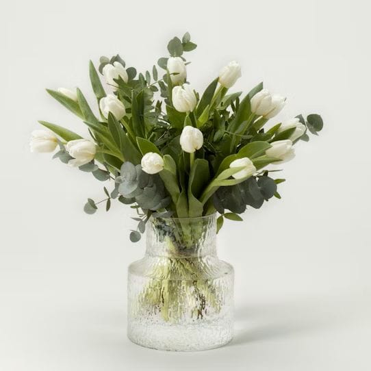 tulipes blanches