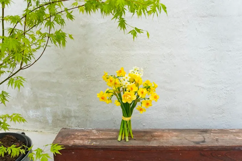 Bouquet de jonquilles