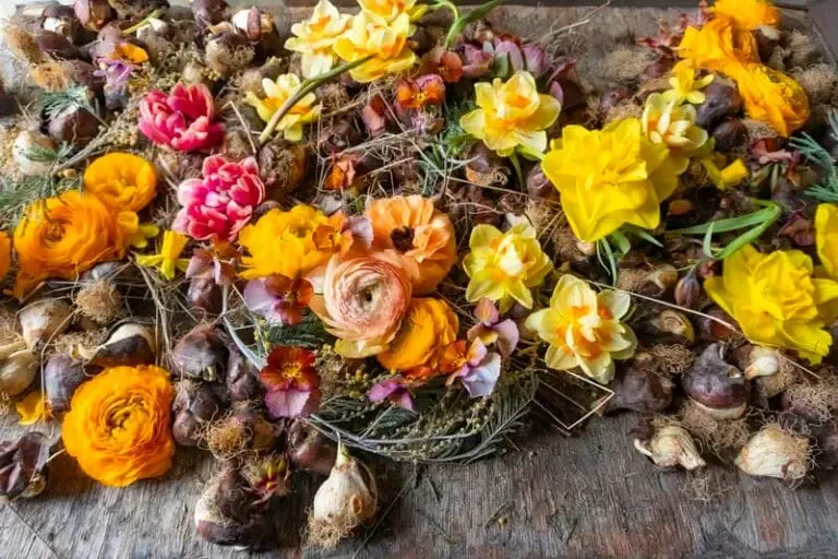 Fleurs à bulbes du printemps