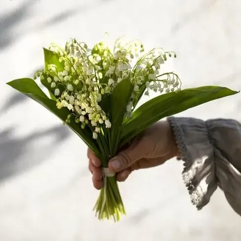 1er mai muguet