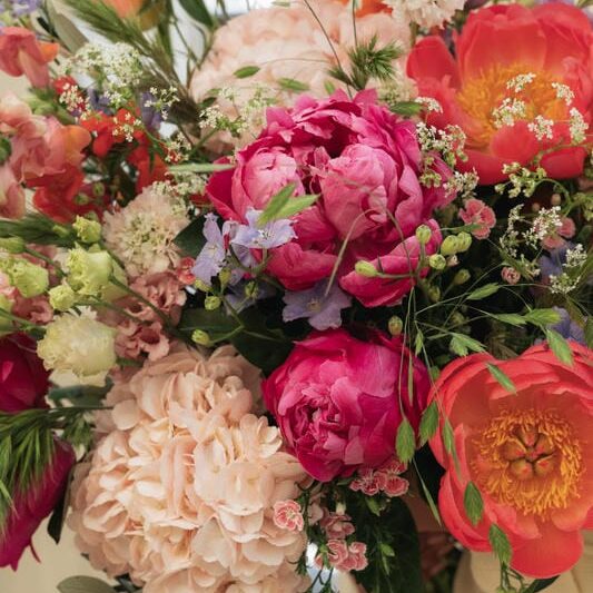 fleurs-pivoines Pivoines multicolores