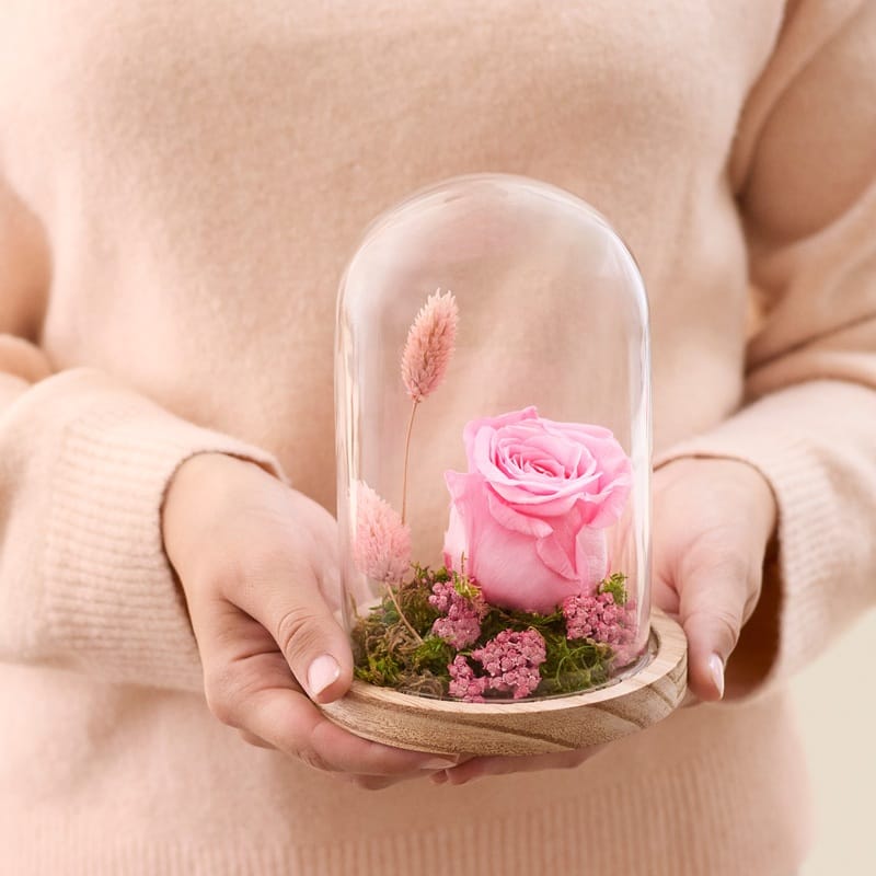 Rose éternelle sous cloche dans les mains d'une femme