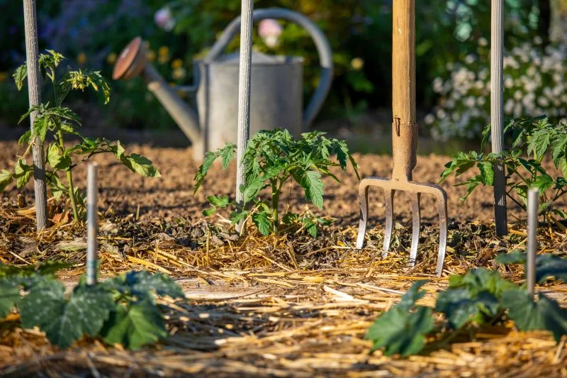 paillage-jardin