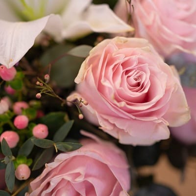 Roses roses