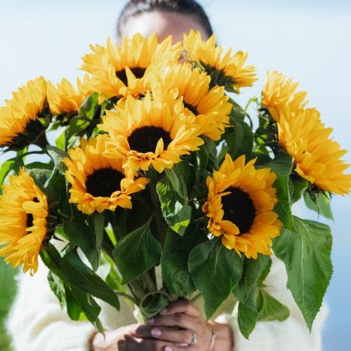 Bouquets de tournesols