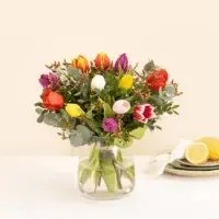 Tulipe