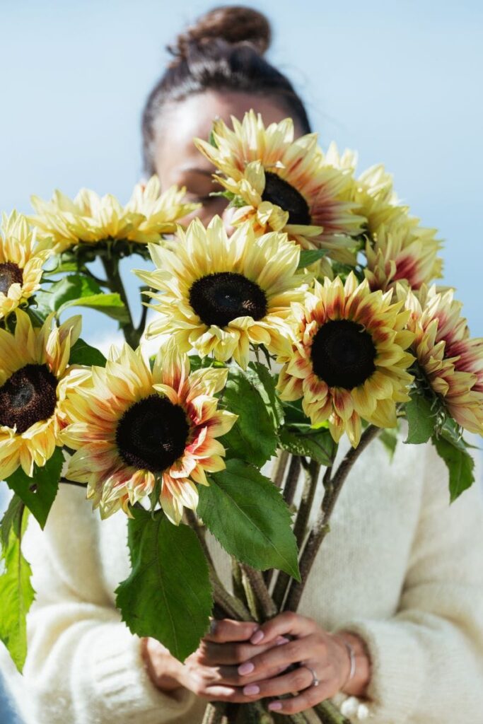 Bouquet de tournesols frais