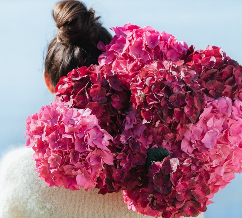 Bouquet d'hortensias