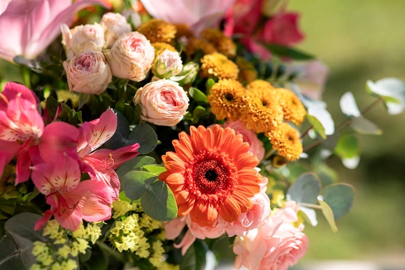 Bouquet de fleurs d'été en gros plan