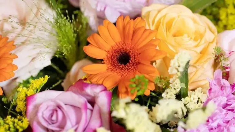 Gen bouquet colore