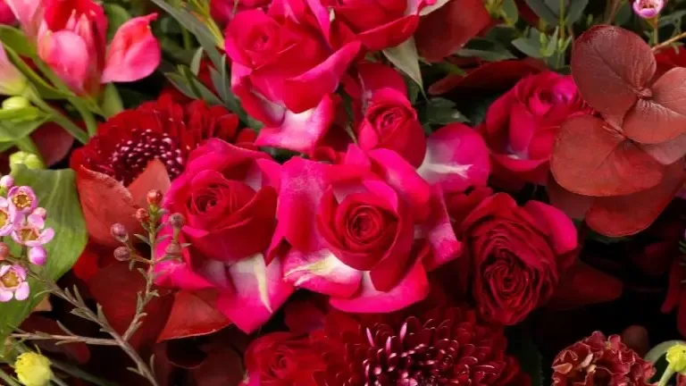 Gen bouquet de fleurs rouges