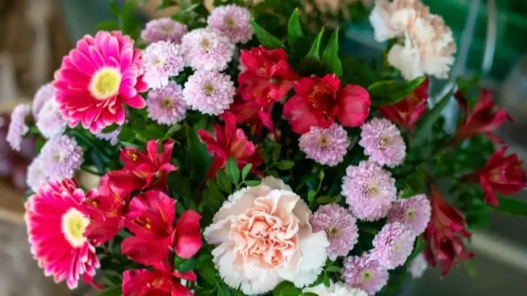 Gen bouquet de fleurs