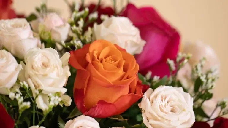 Gen bouquet de roses colorees