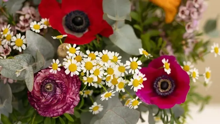 Gen bouquet hivernal