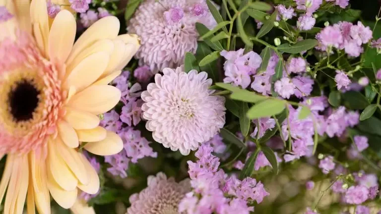 Gen bouquet pastel
