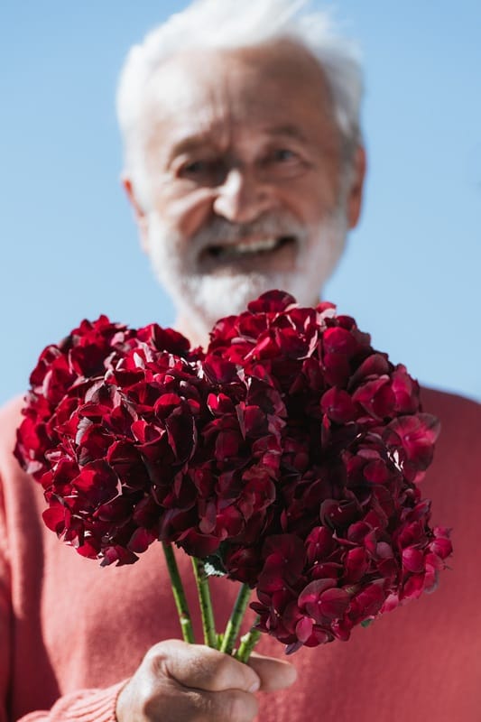 Homme tenant un bouquet d'hortensias rouges