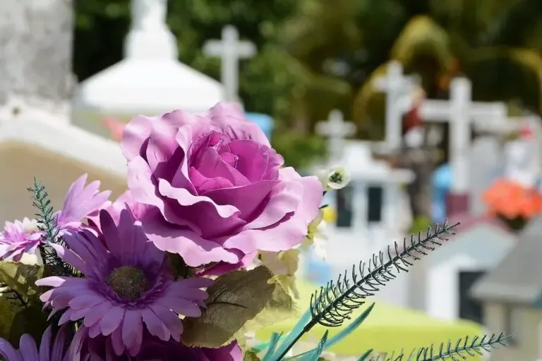 Fleur devant une tombe