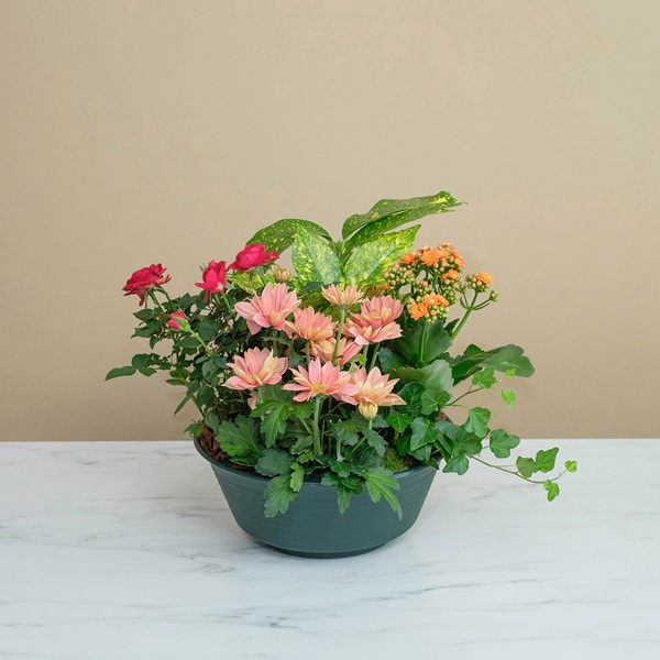 Fleurs en pot pour tombe