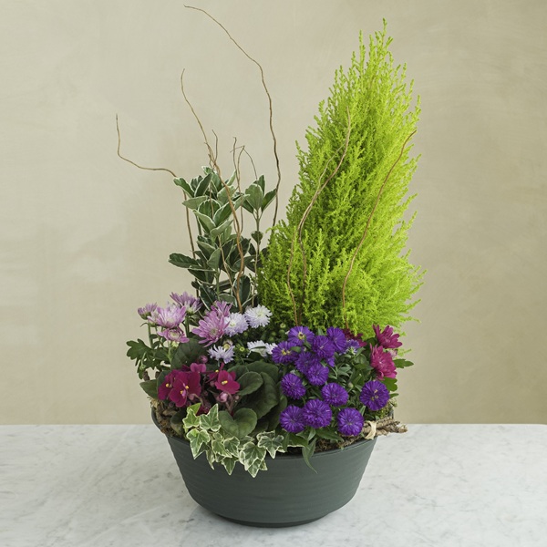Fleurs à mettre sur une tombe