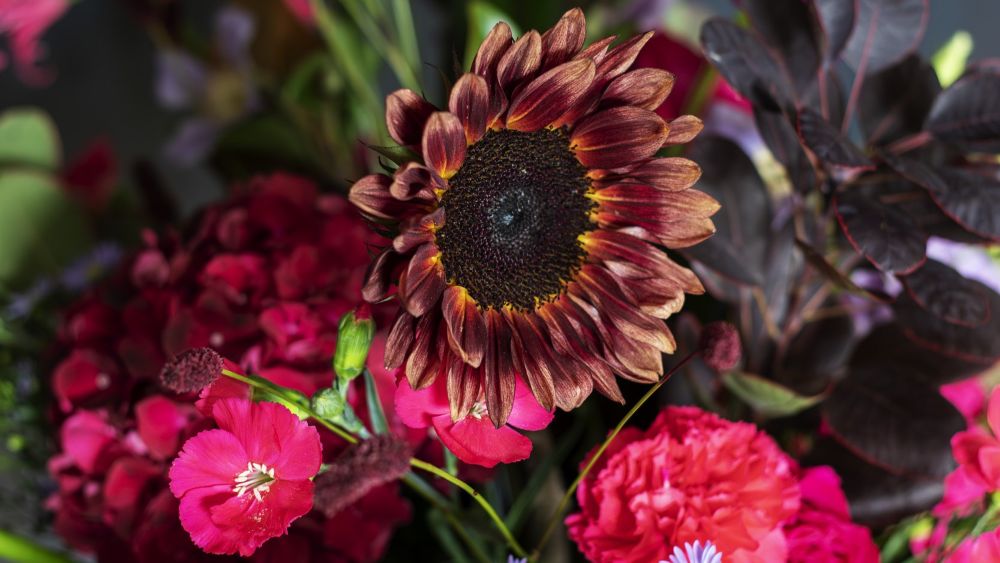 Fleurs automnales