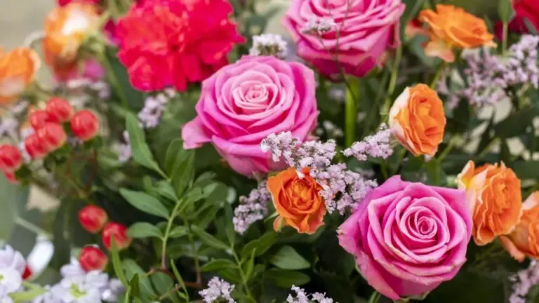 Fleurs colorees anniversaire