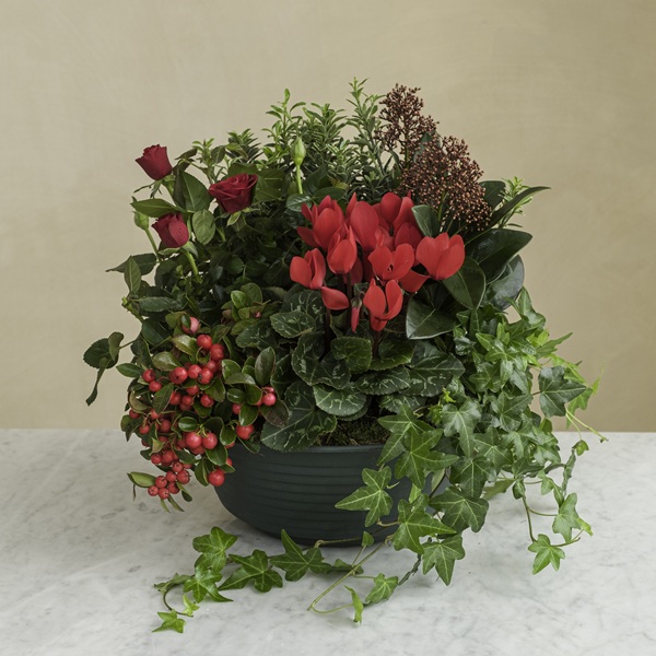 Fleurs pour cimetière