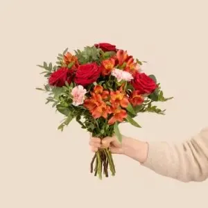 Fleurs de saison