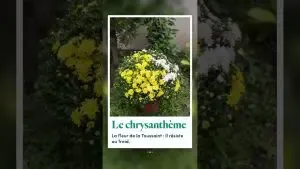 Toussaint 2026 : c’est quand ? Date de la #toussaint