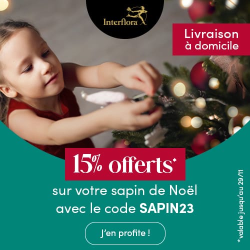Promotion Sapins de Noël Interflora 15% offerts sur la collection Sapins avec le code SAPIN23