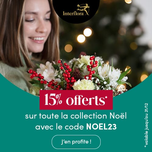 Promotion Noël Interflora 15% offerts sur la collection Noël avec le code NOEL23
