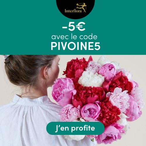 Promotion Interflora -5€ offerts sur la brassée de pivoines variées avec le code PIVOINE5