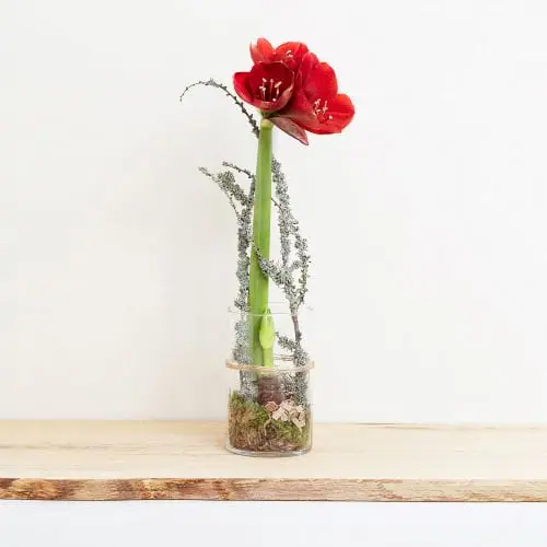 Centre de table de Noël simple