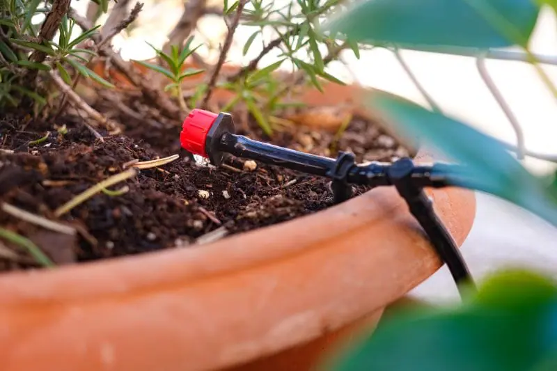 Système d'irrigation goutte à goutte
