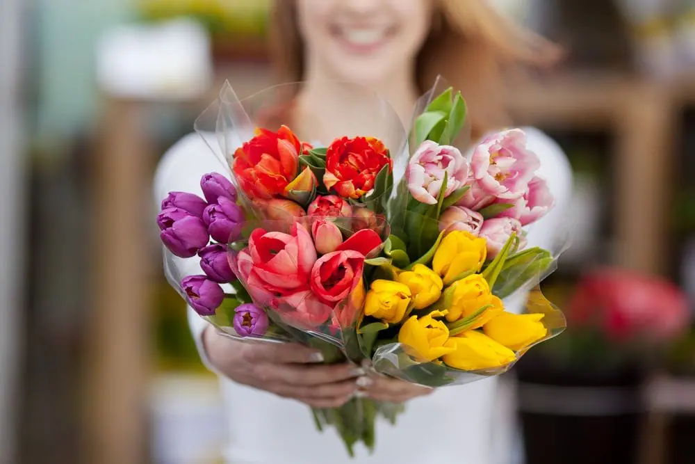 bouquet de tulipes