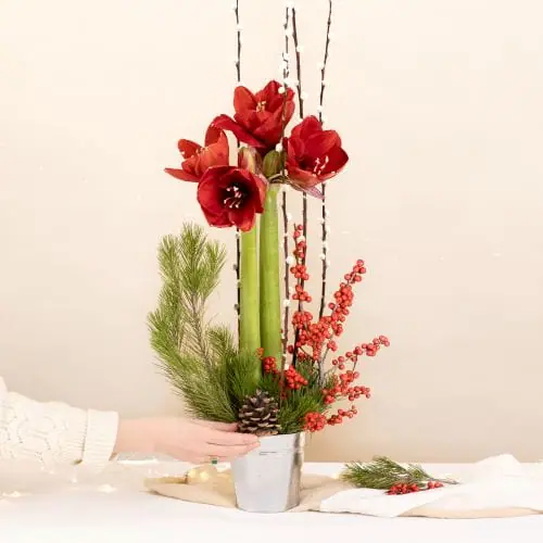Centre de table avec Amaryllis pour un Noël rustique