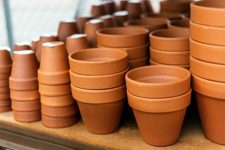 Pot de fleurs extérieur : nos conseils pour bien choisir - Interflora