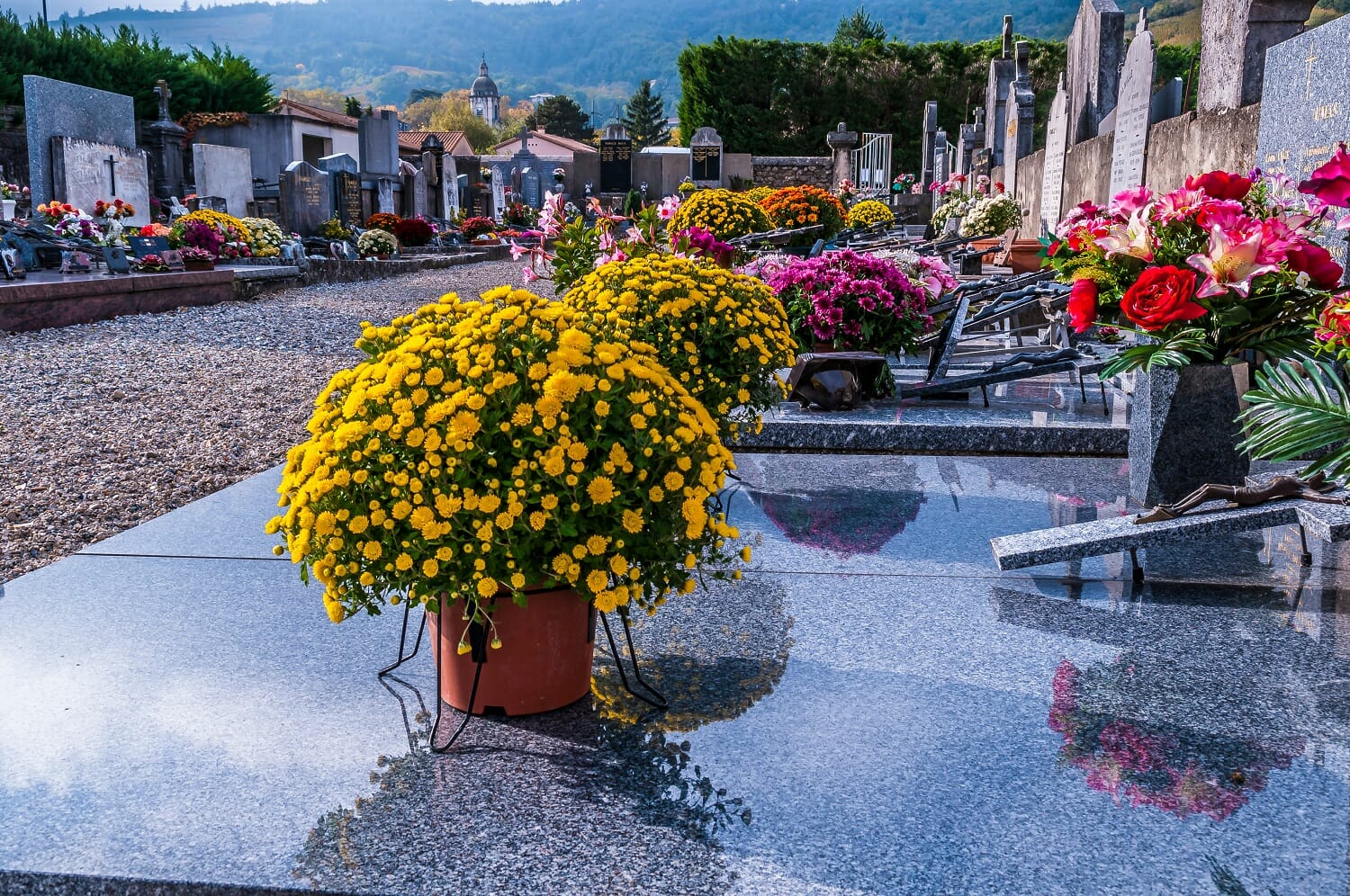 Chrysanthèmes jaunes sur tombe