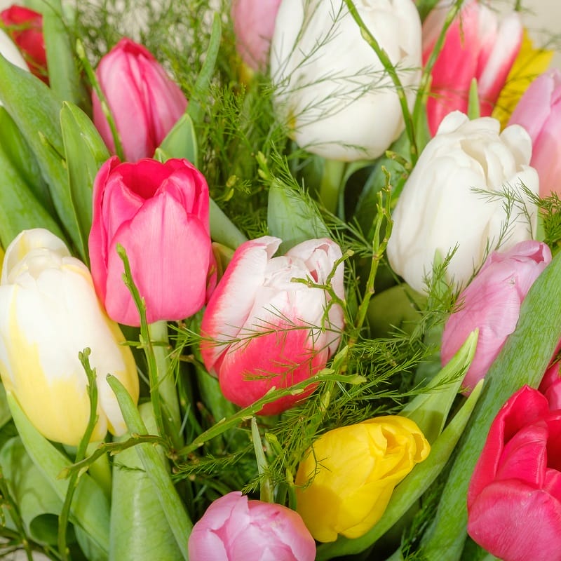 Des tulipes de couleurs différentes dans un vase