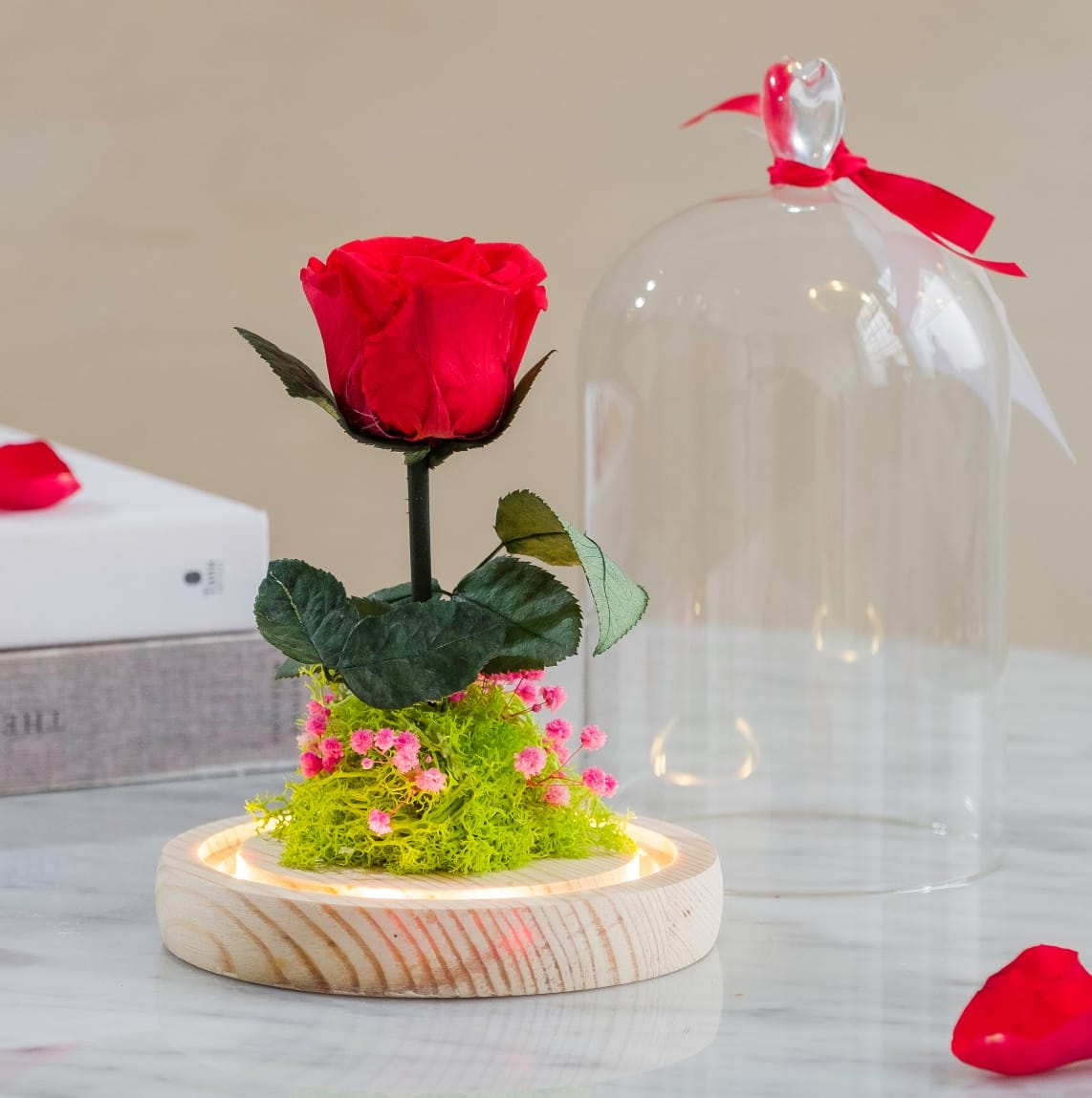 Rose Eternelle Carrefour