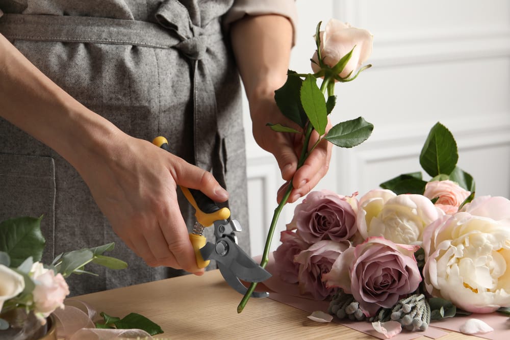 Faire un parterre de fleurs sans entretien : 7 astuces indispensables
