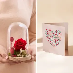 Rose éternelle rouge et sa carte message