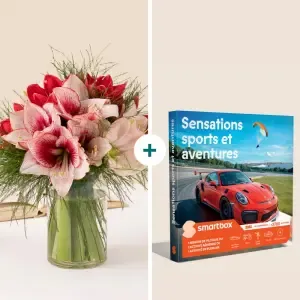 Duo Amaryllis et Aventures