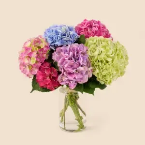 Brassée d'Hortensias