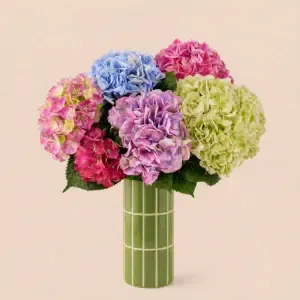 Brassée d'hortensias variée et son vase