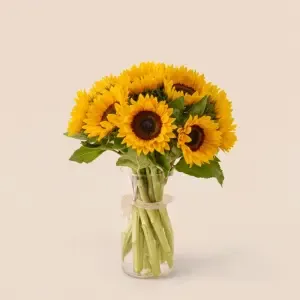 Brassée de Tournesols