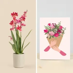 Orchidée Nelly Isler et sa carte message Octobre Rose