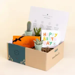 Coffret cadeau anniversaire plante