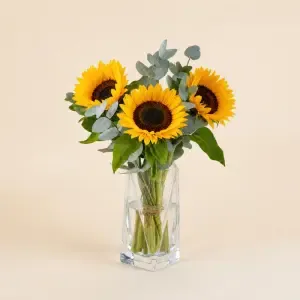 Petite brassée de tournesols