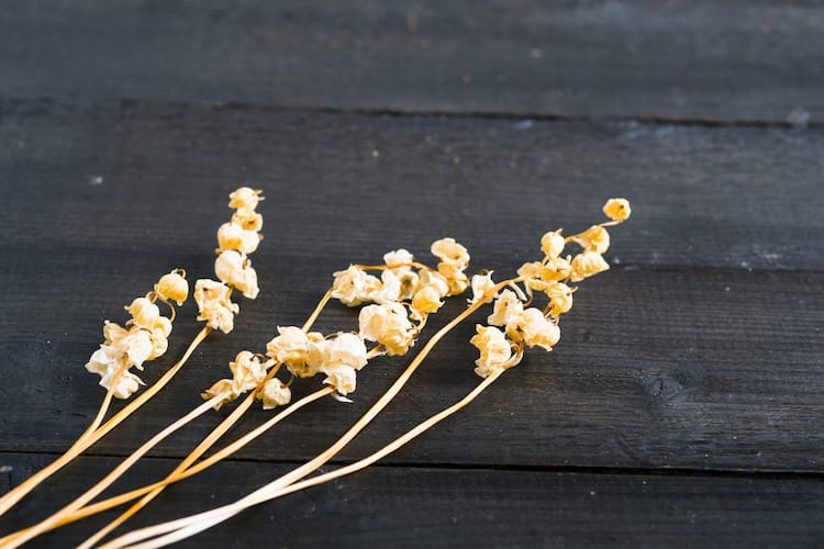 Brins de muguet séchés sur une table