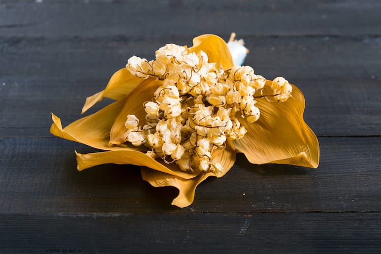 Gros plan sur des brins séchés de muguet